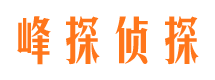 高要调查取证